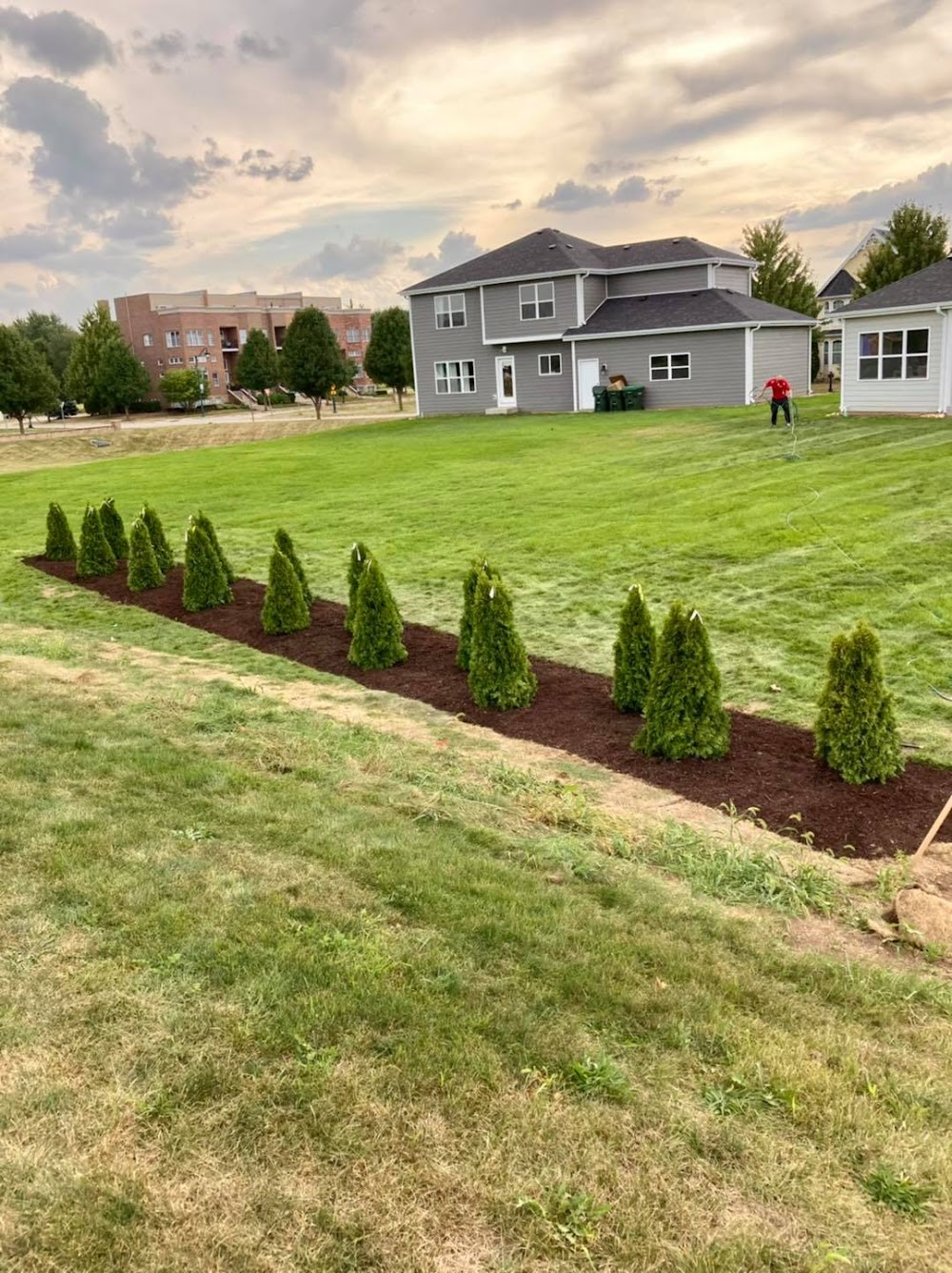 Neatly maintained lawn by SebsLawnServices