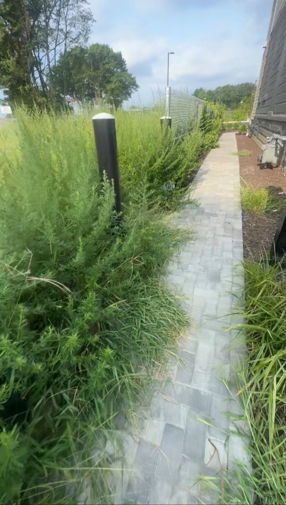 Edging services pathway CT