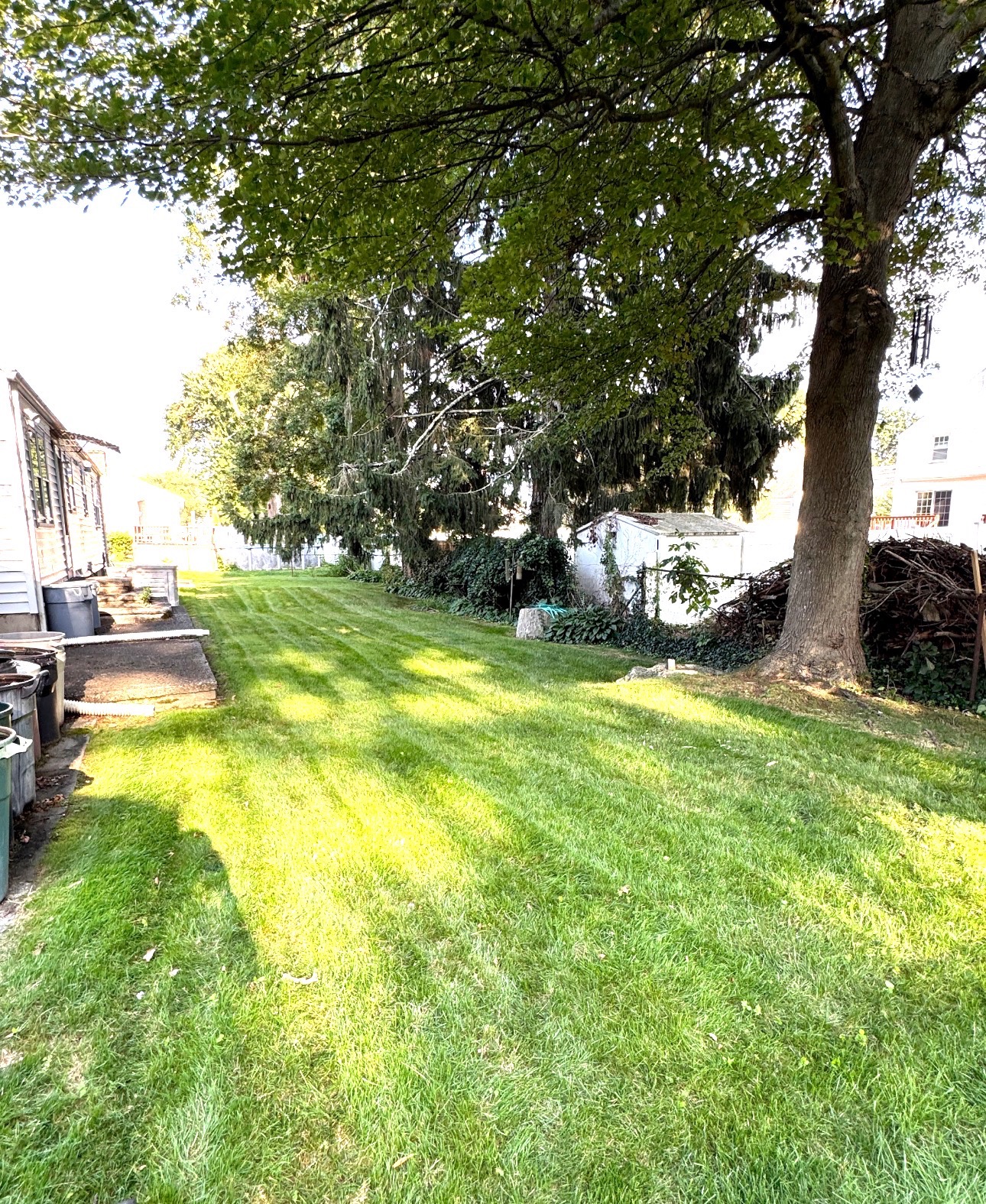 Lush healthy fertilized lawn Stratford CT